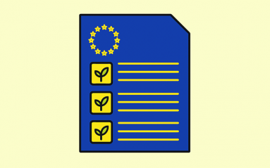 rectangle 6 (3)